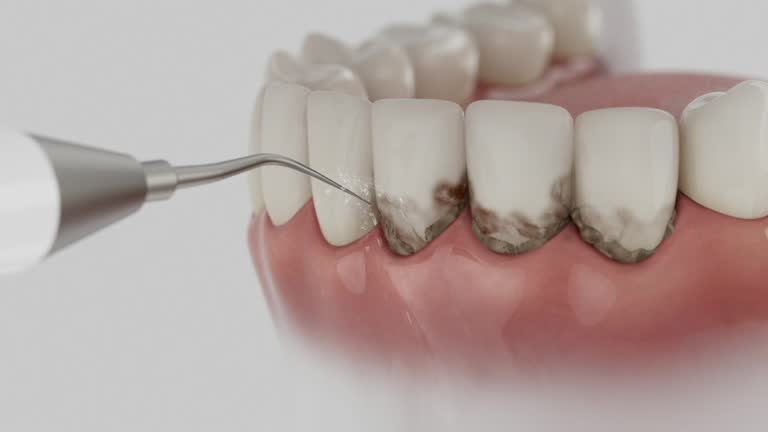 Reliable Dental contractor in St. Paul Park, MN by Dentist Open Now